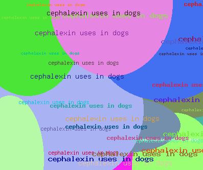 CEPHALEXIN USES IN DOGS